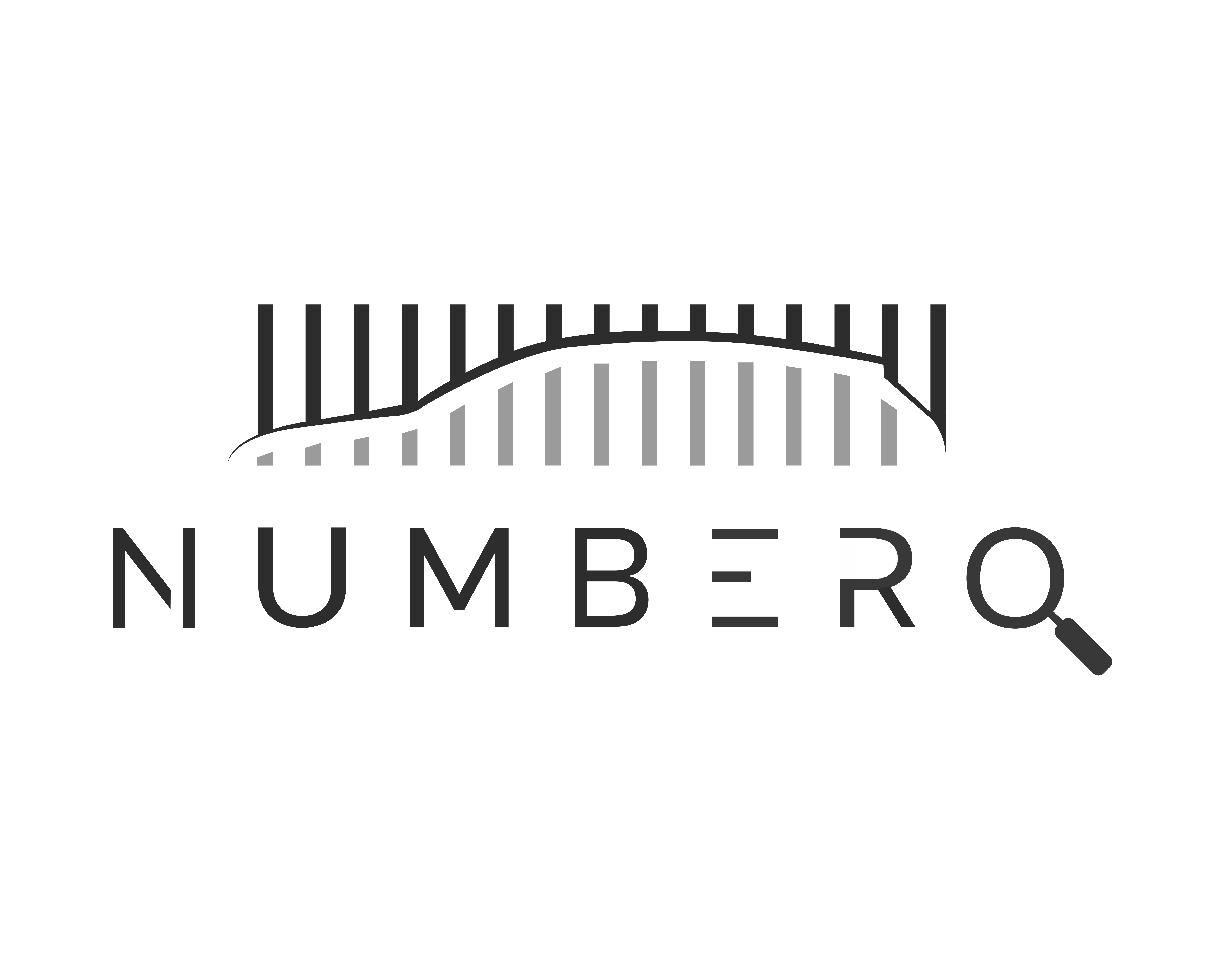 Logo des Anbieters Numbero Consulting GmbH